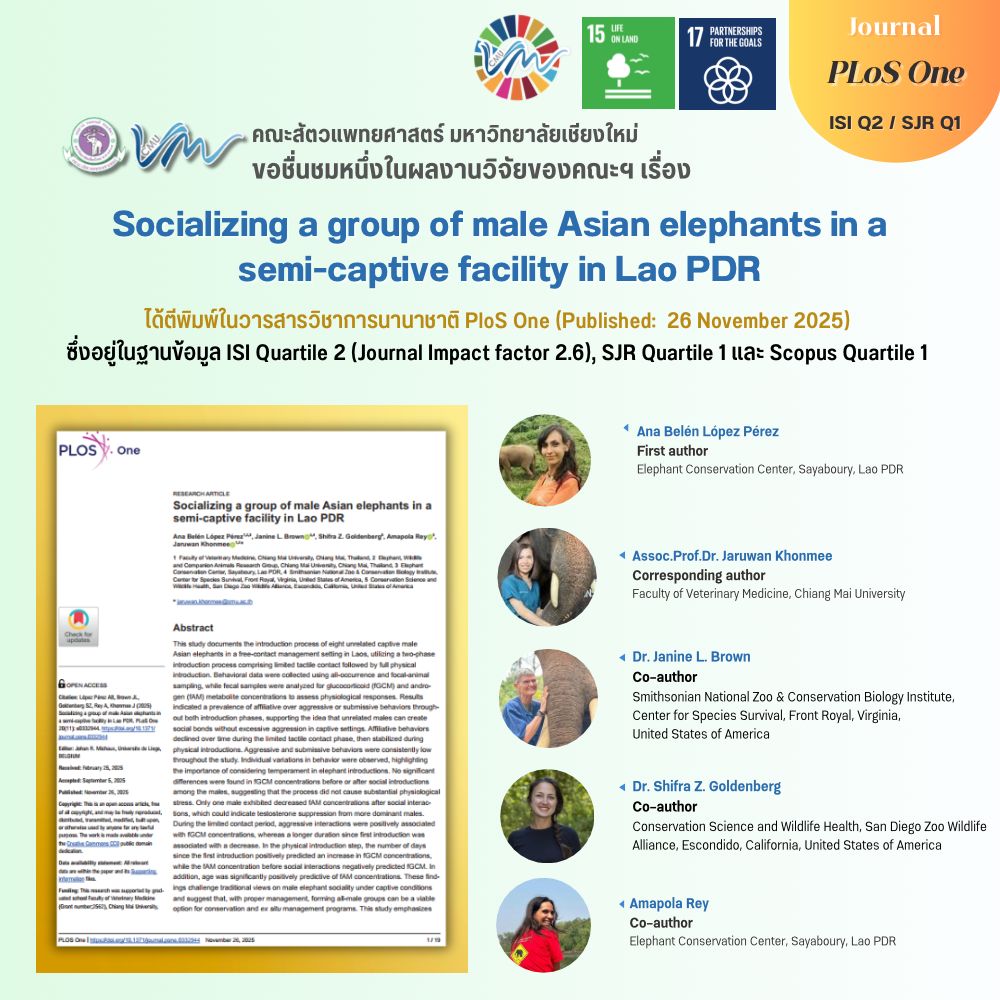 ผลงานวิจัยจากคณะสัตวแพทยศาสตร์ มหาวิทยาลัยเชียงใหม่ เรื่อง Socializing a group of male Asian elephants in a semi-captive facility in Lao PDR ได้ตีพิมพ์ในวารสารวิชาการนานาชาติ PLoS One (Published: 26 November 2025)