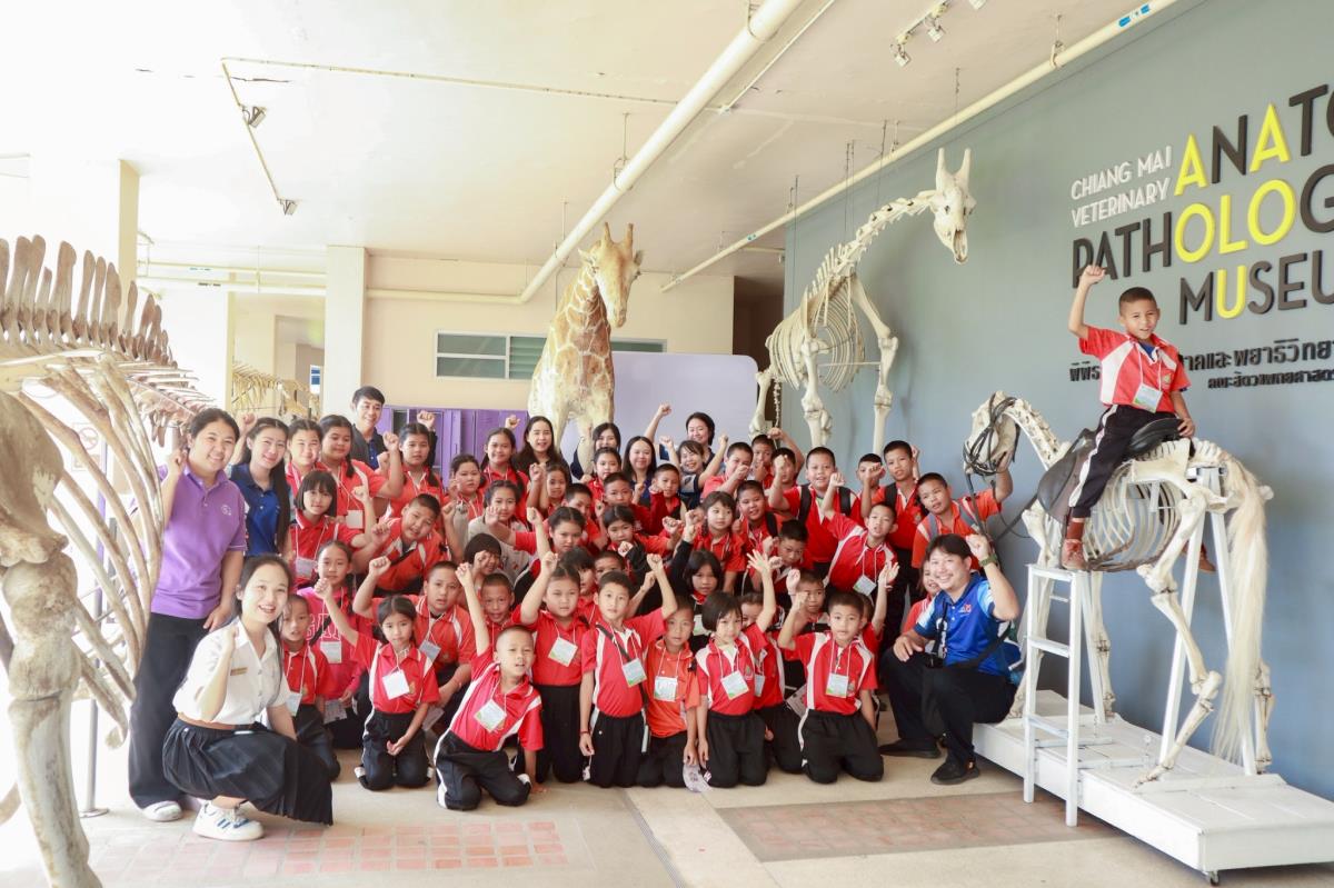 คณะสัตวแพทยศาสตร์ มหาวิทยาลัยเชียงใหม่ ให้การต้อนรับคณะครูและนักเรียนจาก โรงเรียนบ้านแม่บวน อำเภอดอยเต่า จังหวัดเชียงใหม่ ในโอกาสเดินทางมาเยี่ยมชม พิพิธภัณฑ์กายวิภาคและพยาธิวิทยาทางสัตวแพทย์ เพื่อศึกษาทัศนศึกษา เรียนรู้นอกห้องเรียน และเสริมสร้างความรู้ความเข้าใจเกี่ยวกับโครงสร้างร่างกายของสัตว์หลากหลายชนิด เมื่อวันที่ 12 พฤศจิกายน 2568