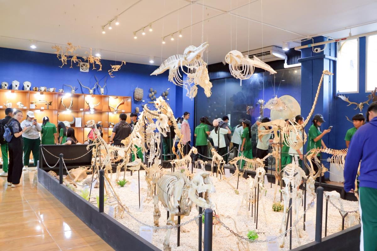 คณะสัตวแพทยศาสตร์ มหาวิทยาลัยเชียงใหม่ ได้ให้การต้อนรับคณะครูและนักเรียน จากโรงเรียนแม่ตืนวิทยา อำเภอลี้ จังหวัดลำพูน ในการเยี่ยมชมพิพิธภัณฑ์กายวิภาคและพยาธิวิทยาทางสัตวแพทย์ เพื่อศึกษาและเรียนรู้เกี่ยวกับโครงสร้างร่างกาย รวมถึงอวัยวะต่าง ๆ ของสัตว์หลากหลายชนิด เมื่อวันที่ 24 ธันวาคม 2568