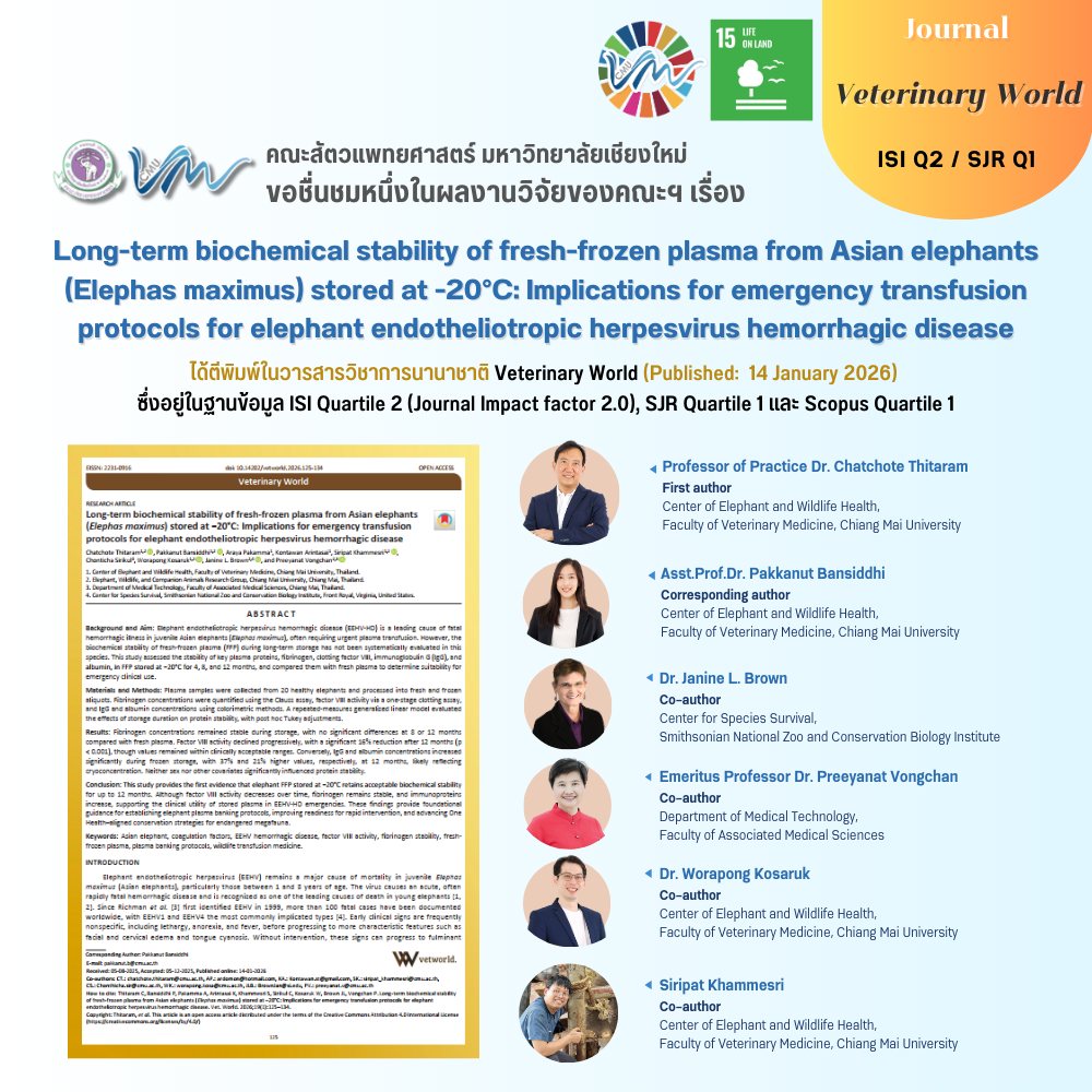 ผลงานวิจัยจากคณะสัตวแพทยศาสตร์ มหาวิทยาลัยเชียงใหม่ เรื่อง Long-term biochemical stability of fresh-frozen plasma from Asian elephants (Elephas maximus) stored at -20?C: Implications for emergency transfusion protocols for elephant endotheliotropic herpesvirus hemorrhagic disease ได้ตีพิมพ์ในวารสารวิชาการนานาชาติ Veterinary World (Published: 14 January 2026)