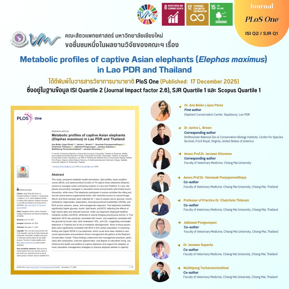 ผลงานวิจัยจากคณะสัตวแพทยศาสตร์ มหาวิทยาลัยเชียงใหม่ เรื่อง Metabolic profiles of captive Asian elephants (Elephas maximus) in Lao PDR and Thailand ได้ตีพิมพ์ในวารสารวิชาการนานาชาติ PLoS One (Published: 17 December 2025)