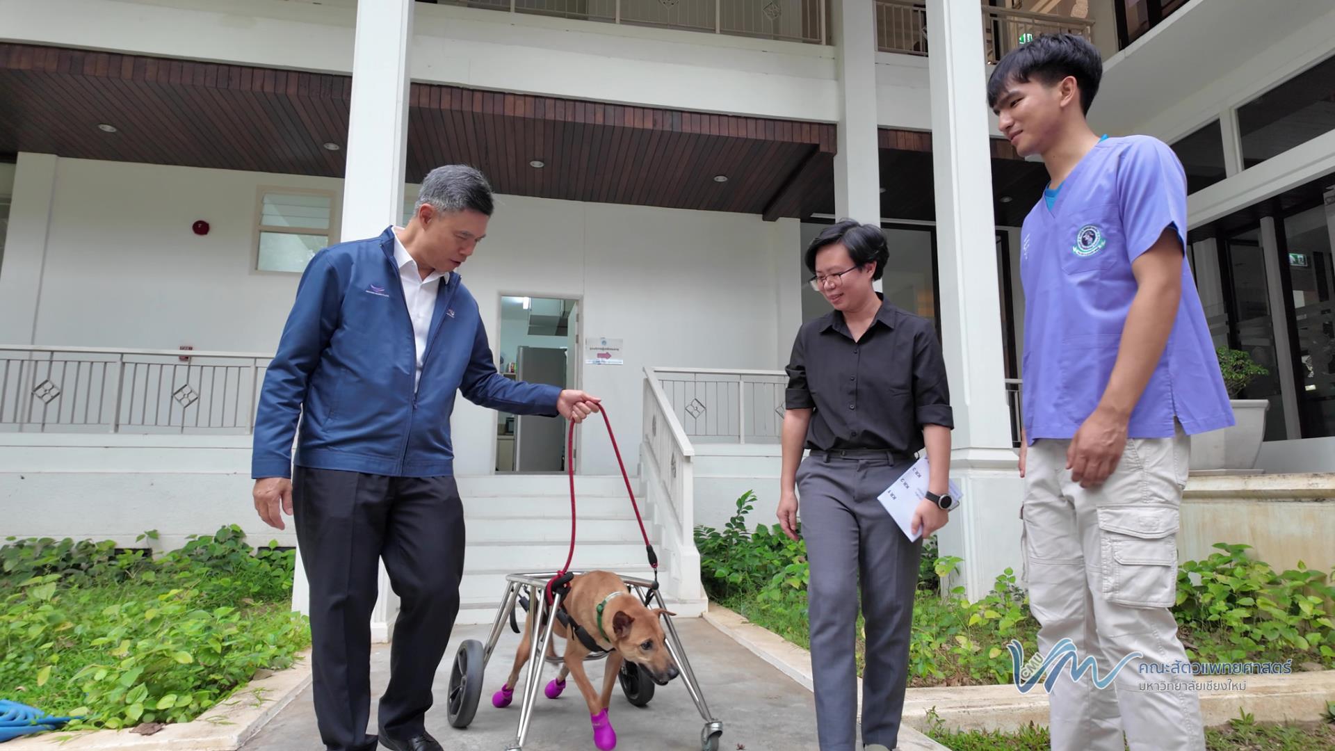 คณะสัตวแพทยศาสตร์ มช. ชูโมเดล 